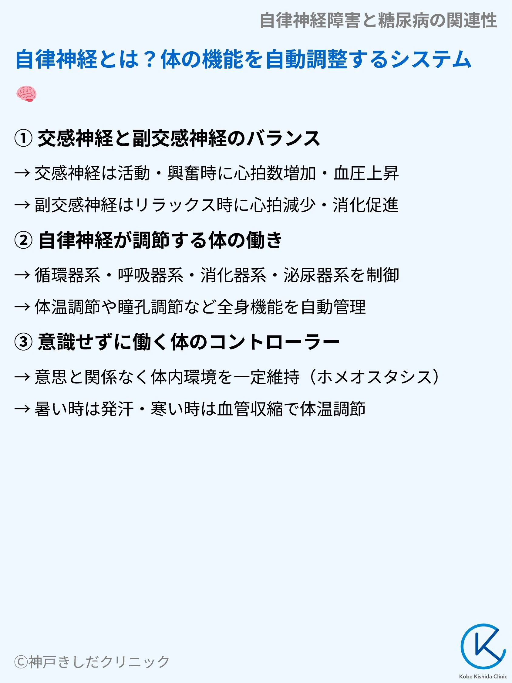 自律神経障害と糖尿病の関連性_03.webp