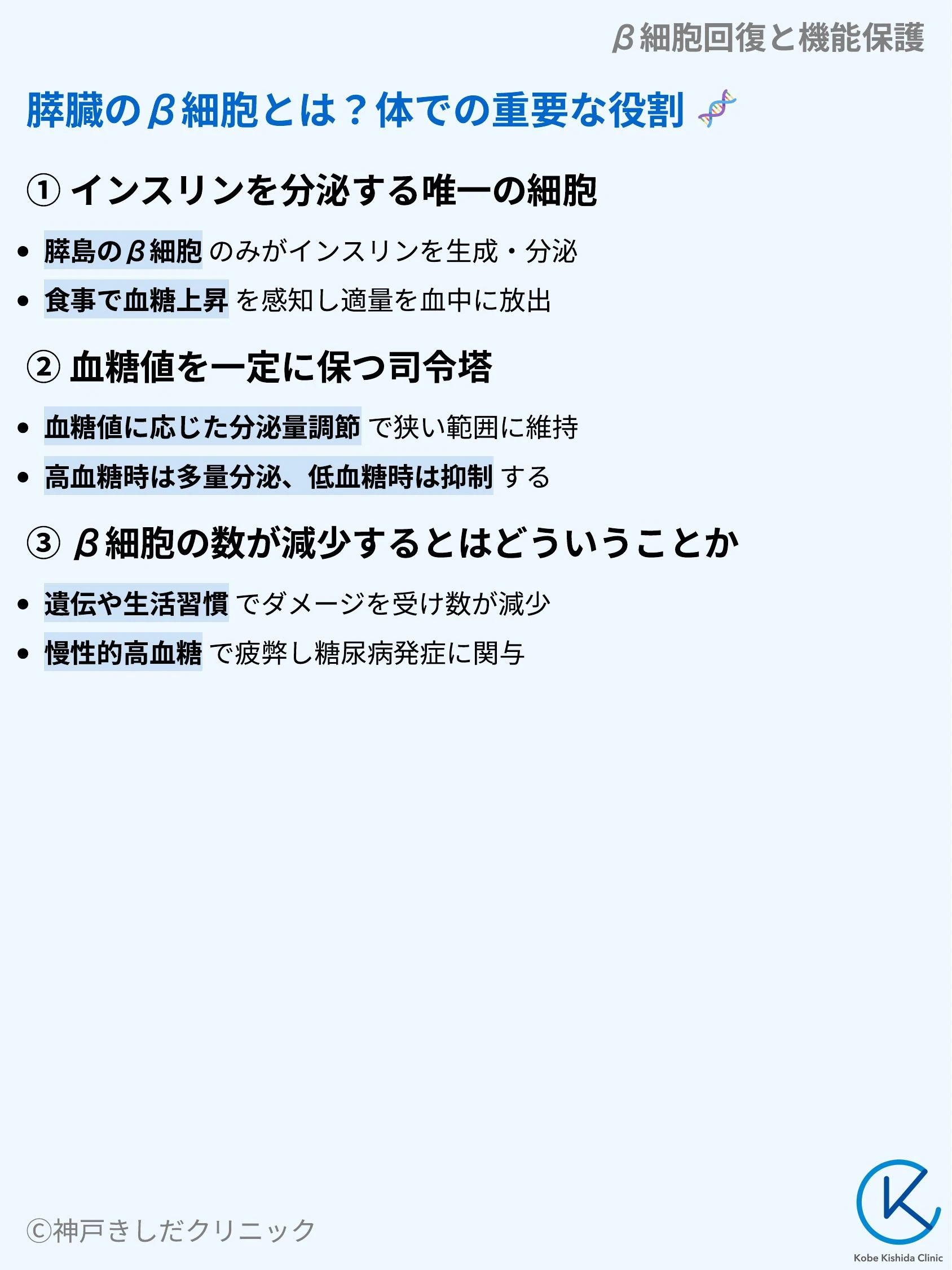 β細胞回復と機能保護_03.webp