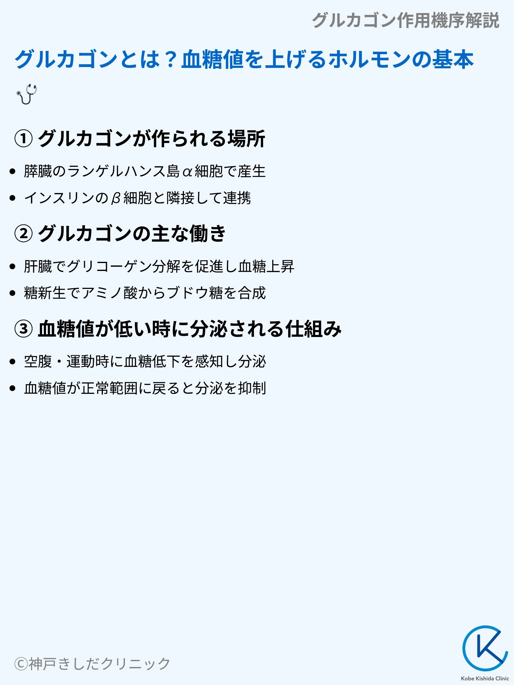 グルカゴン作用機序解説_03.webp