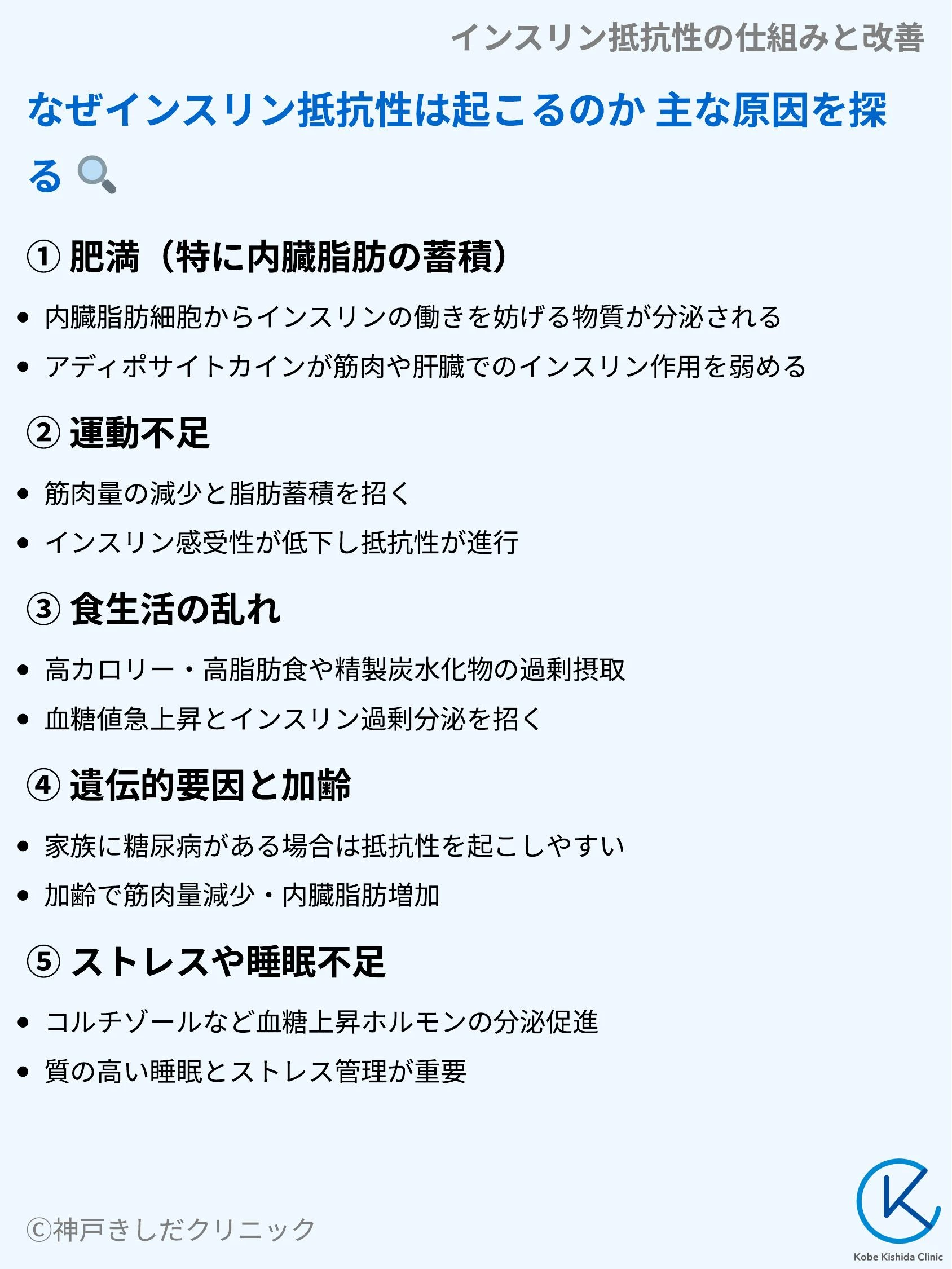 インスリン抵抗性の仕組みと改善_04.webp