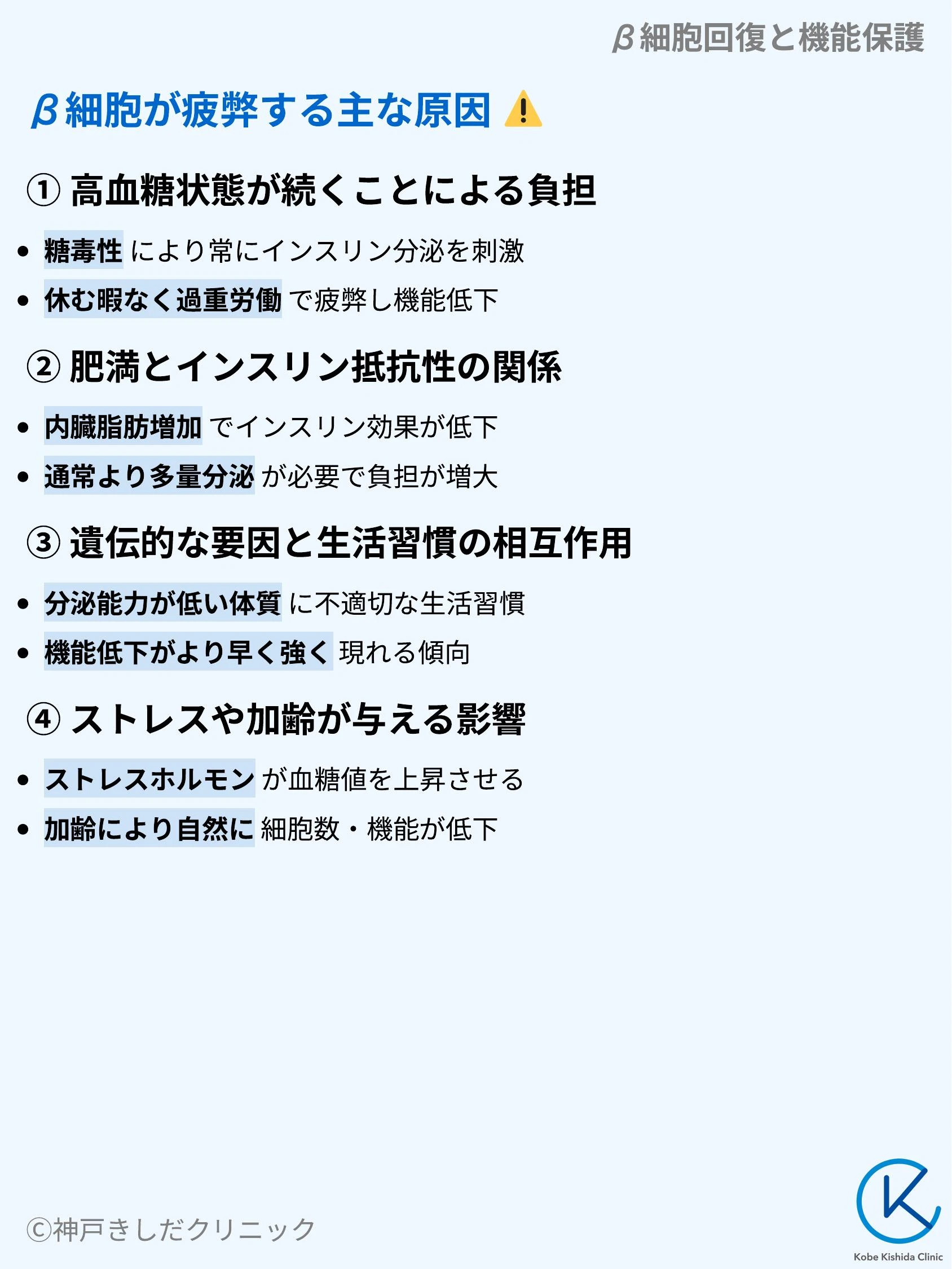 β細胞回復と機能保護_04.webp