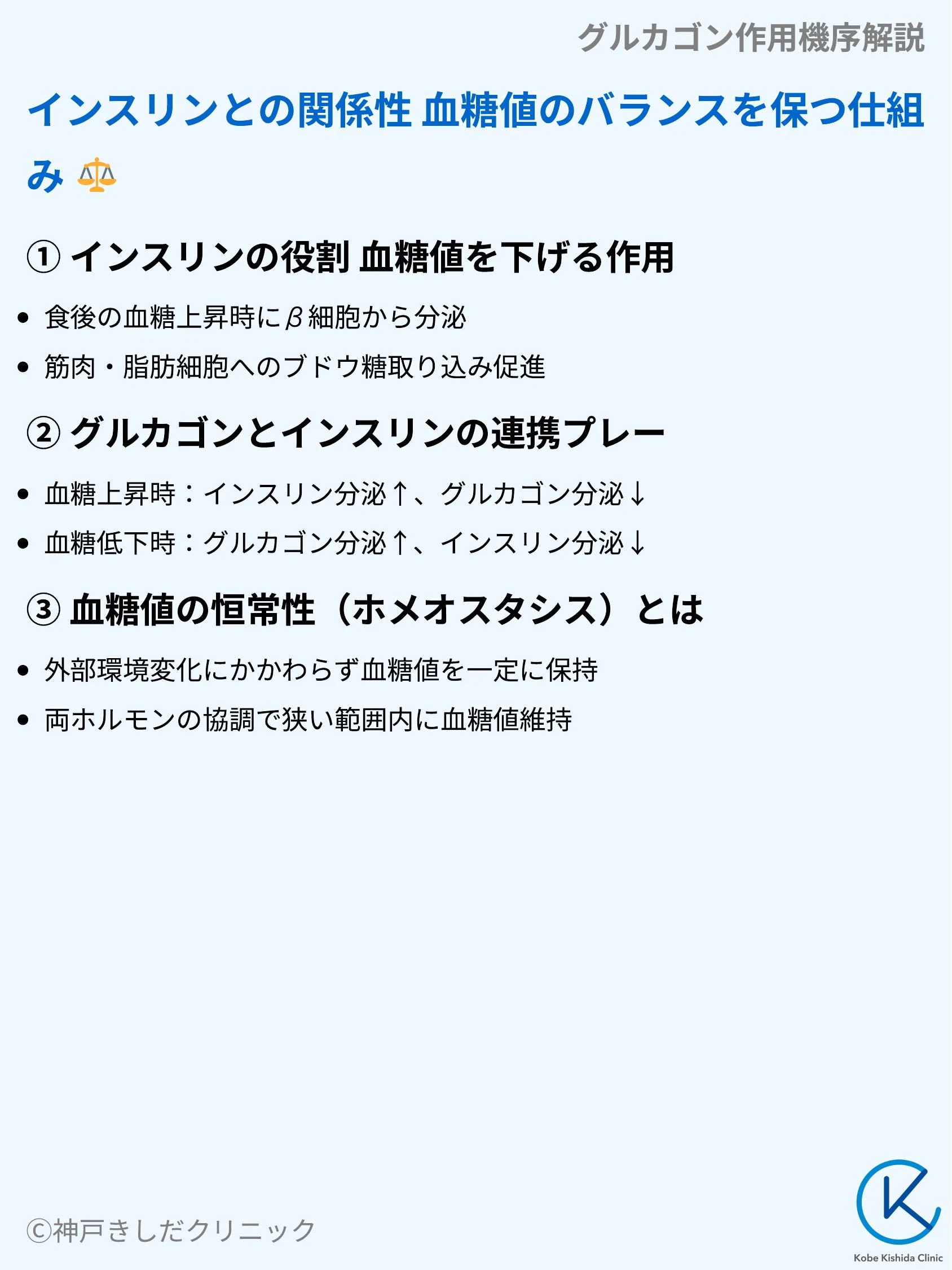 グルカゴン作用機序解説_04.webp