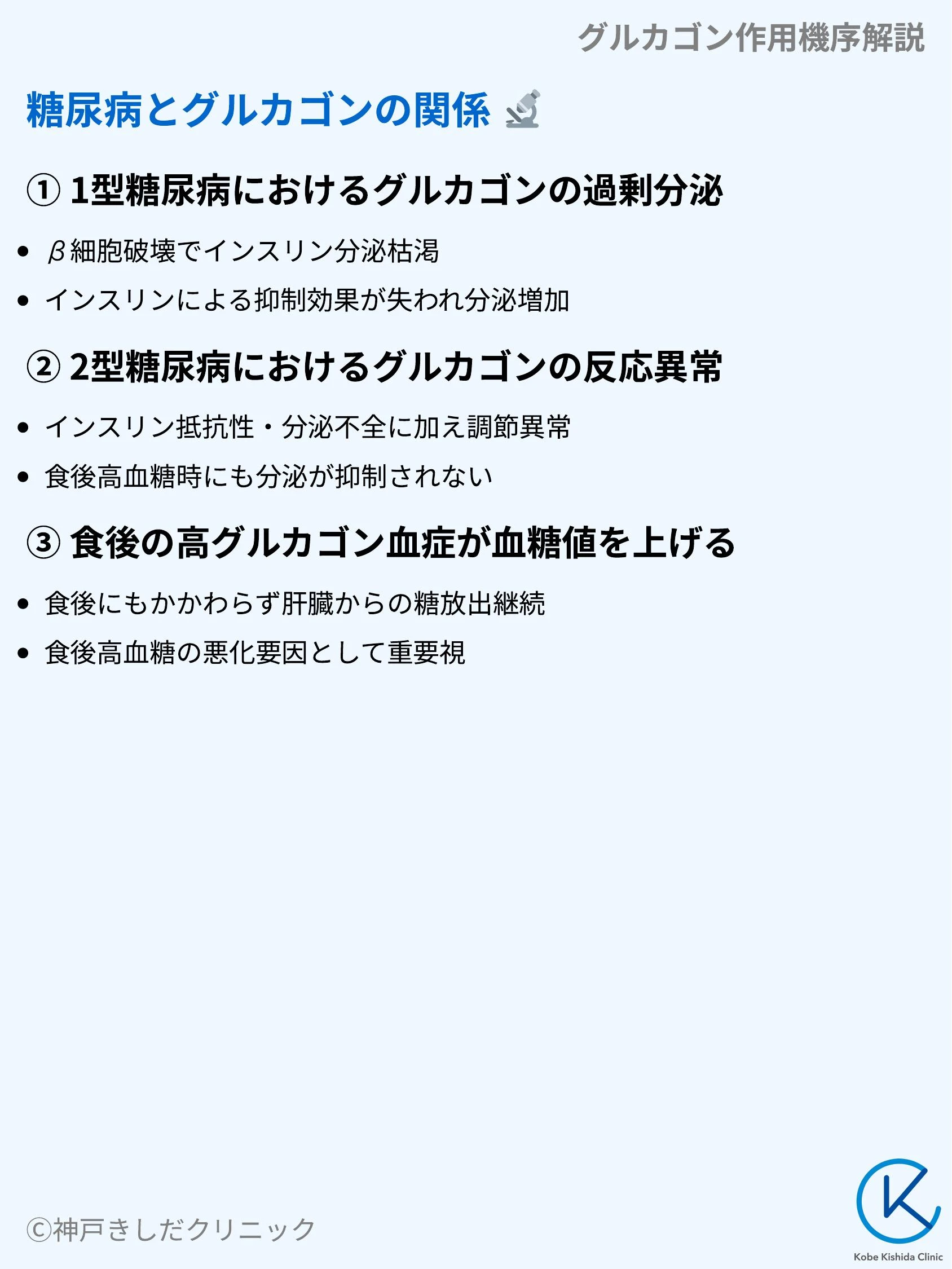 グルカゴン作用機序解説_06.webp