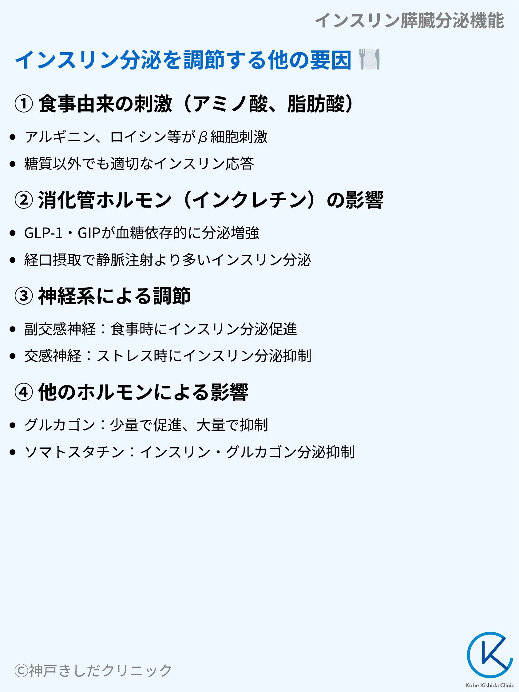 インスリン膵臓分泌機能_08.webp