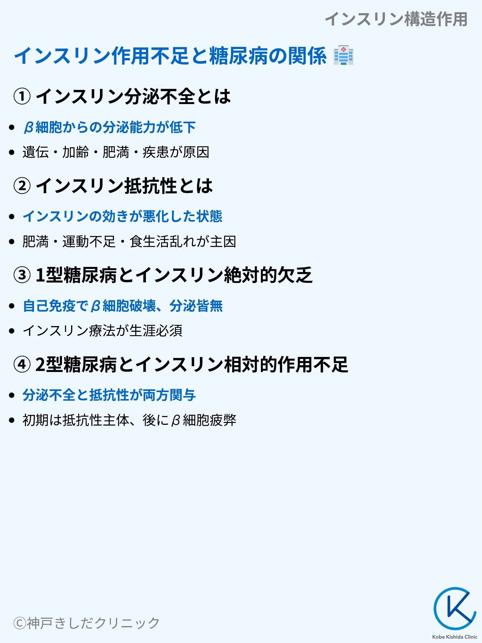 インスリン構造作用_08.webp