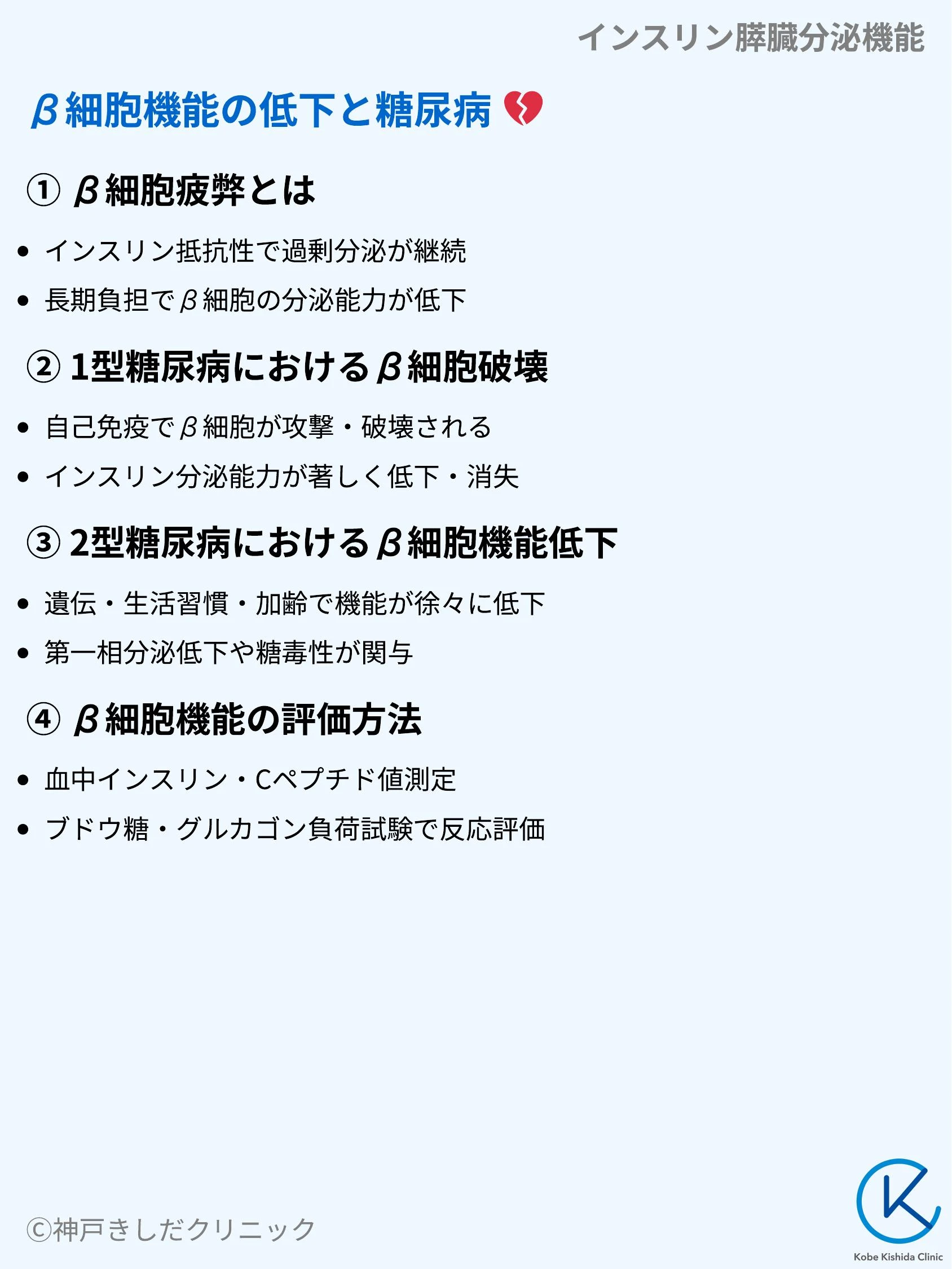 インスリン膵臓分泌機能_09.webp