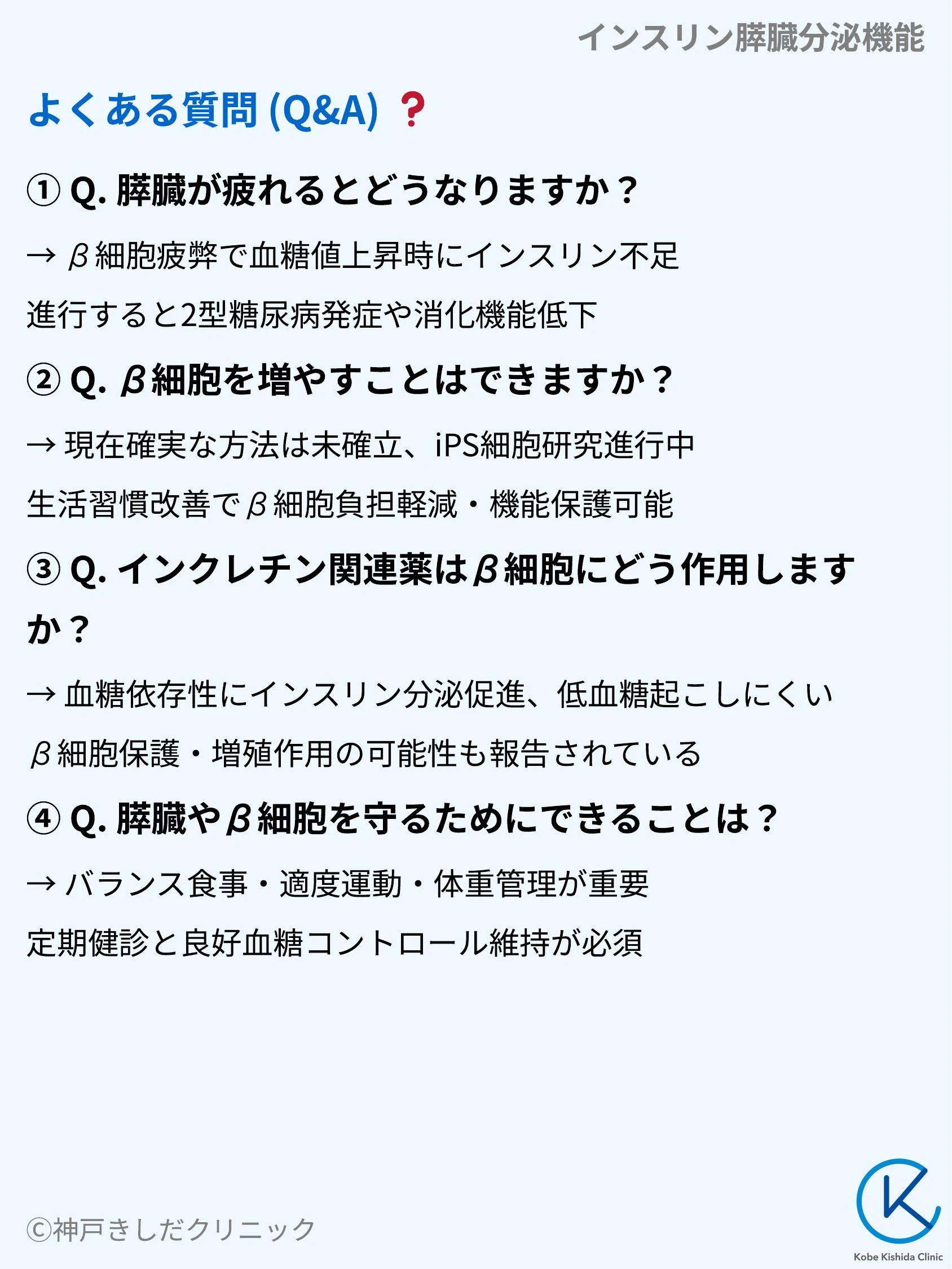 インスリン膵臓分泌機能_10.webp