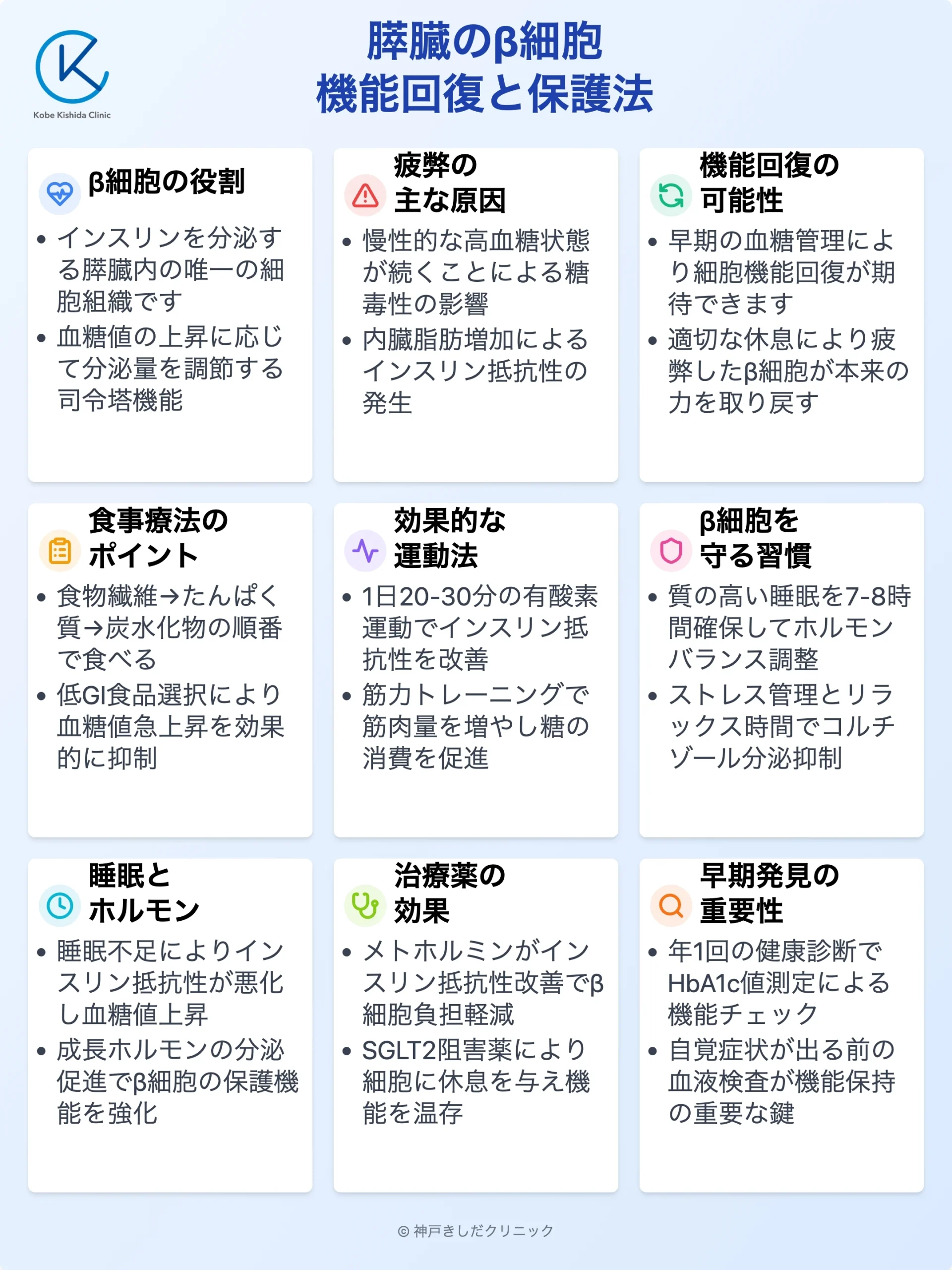 β細胞回復と機能保護_11.webp