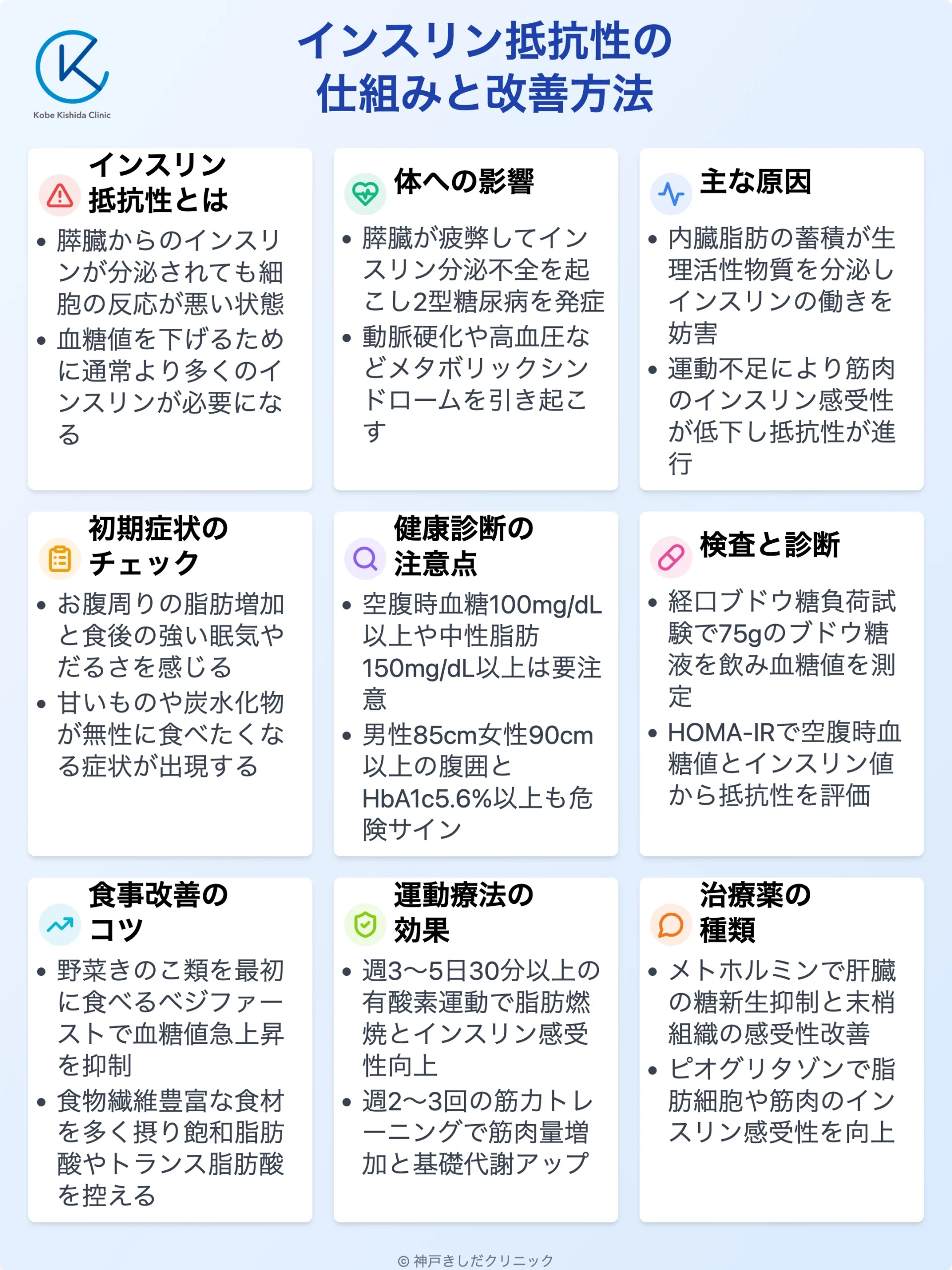 インスリン抵抗性の仕組みと改善_12.webp