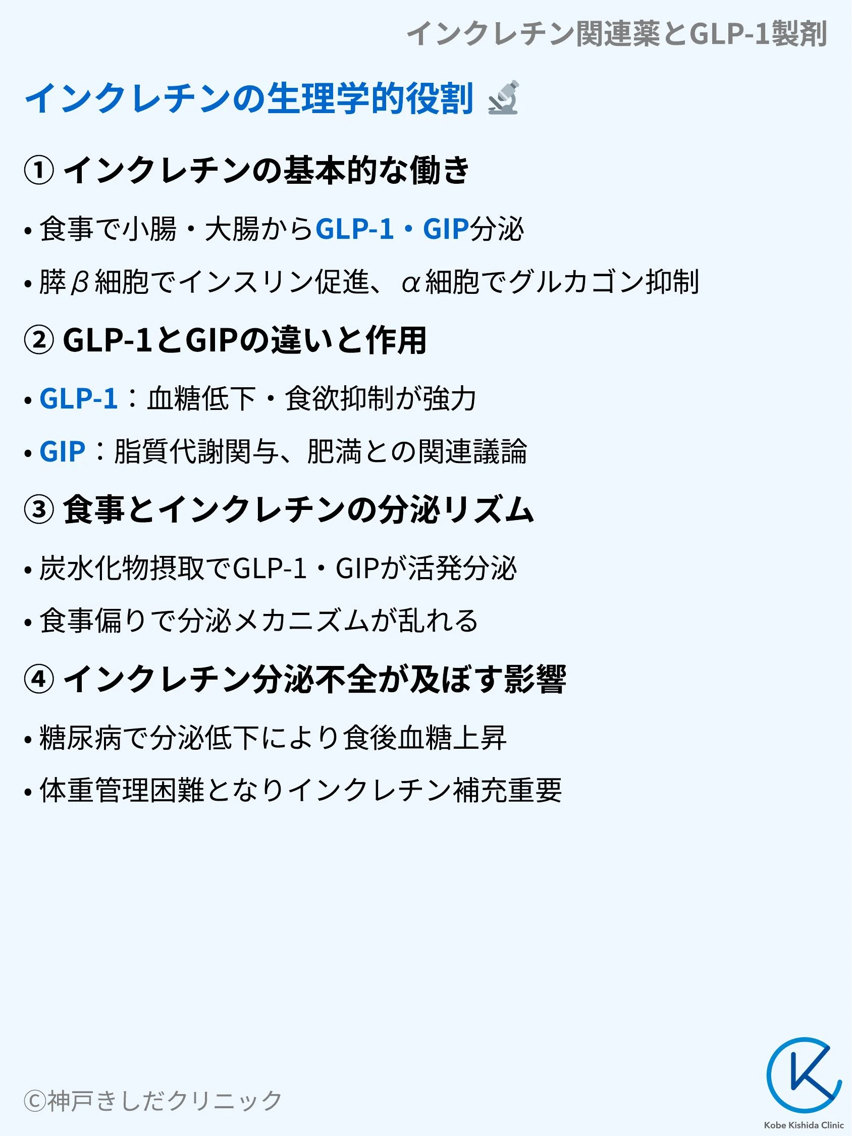 インクレチン関連薬とGLP-1製剤_04.webp