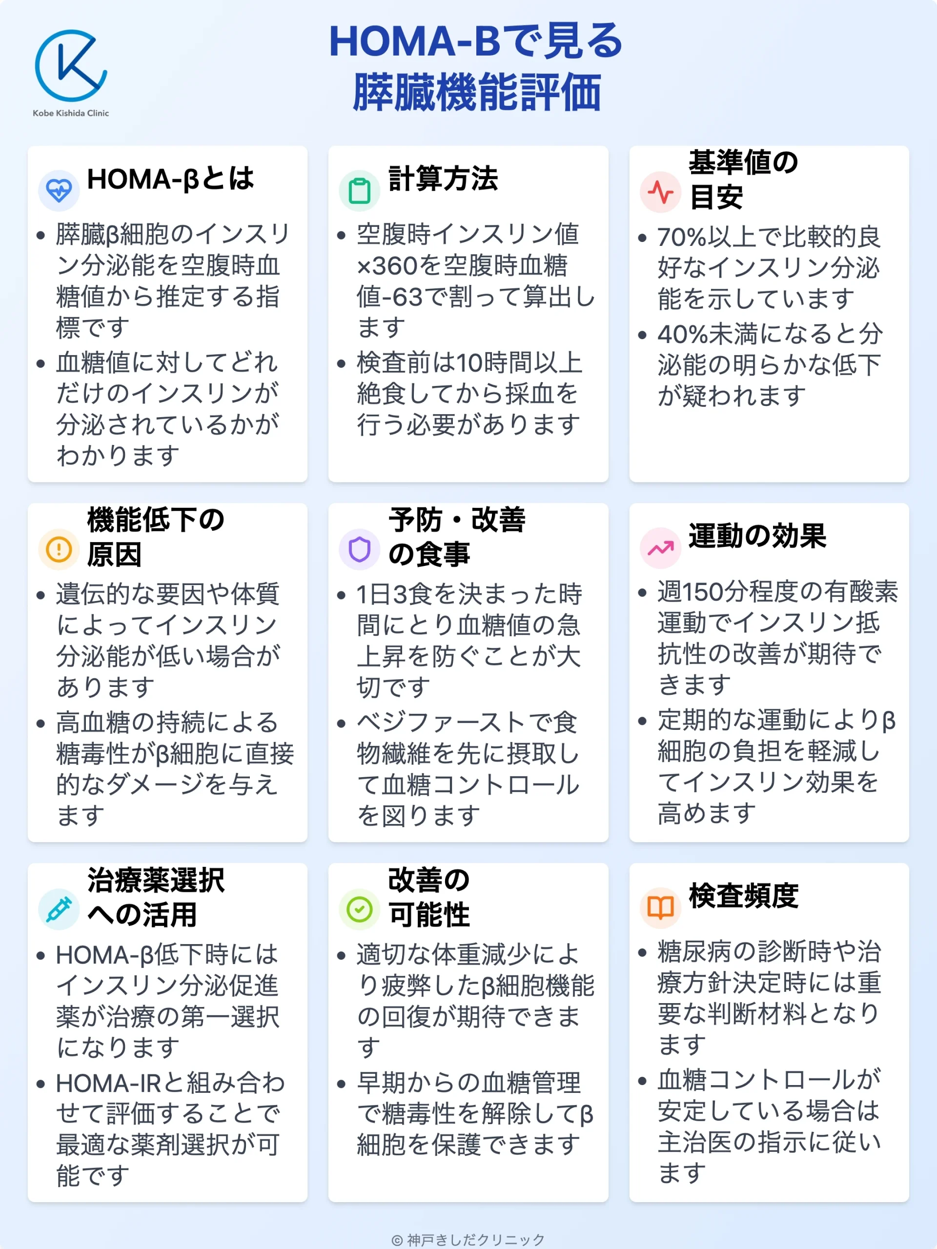 HOMA-β膵臓機能評価_10.webp