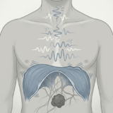 咳としゃっくりが同時に出る・止まらない原因は？横隔膜の痙攣と隠れた病気