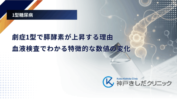 劇症1型で膵酵素が上昇する理由｜血液検査でわかる特徴的な数値の変化