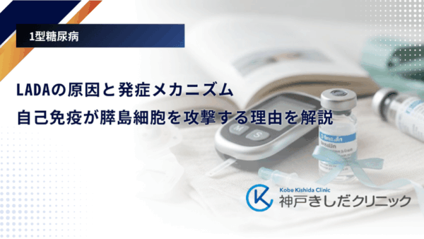 LADAの原因と発症メカニズム｜自己免疫が膵島細胞を攻撃する理由を解説