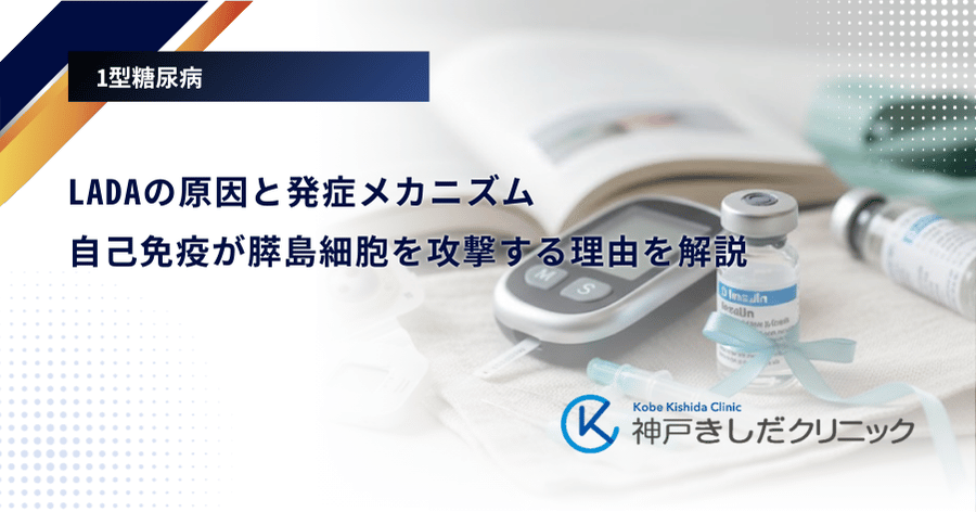 LADAの原因と発症メカニズム｜自己免疫が膵島細胞を攻撃する理由を解説