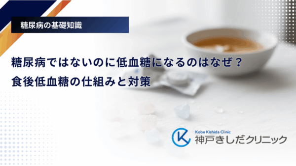 糖尿病ではないのに低血糖になるのはなぜ？食後低血糖の仕組みと対策