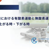 1型糖尿病における有酸素運動と無酸素運動の違い｜血糖値が上がる時・下がる時