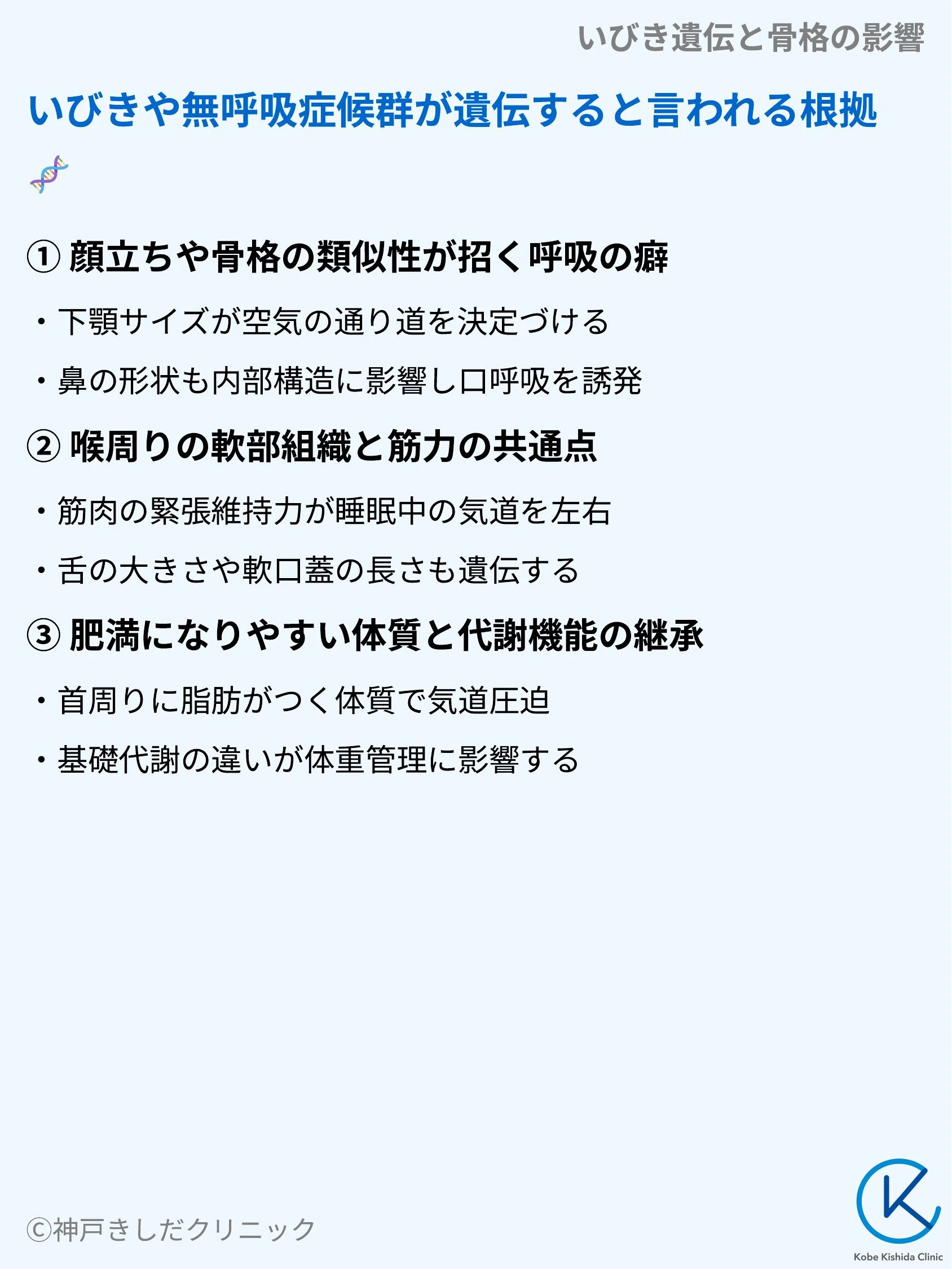 いびき遺伝と骨格の影響_03.webp