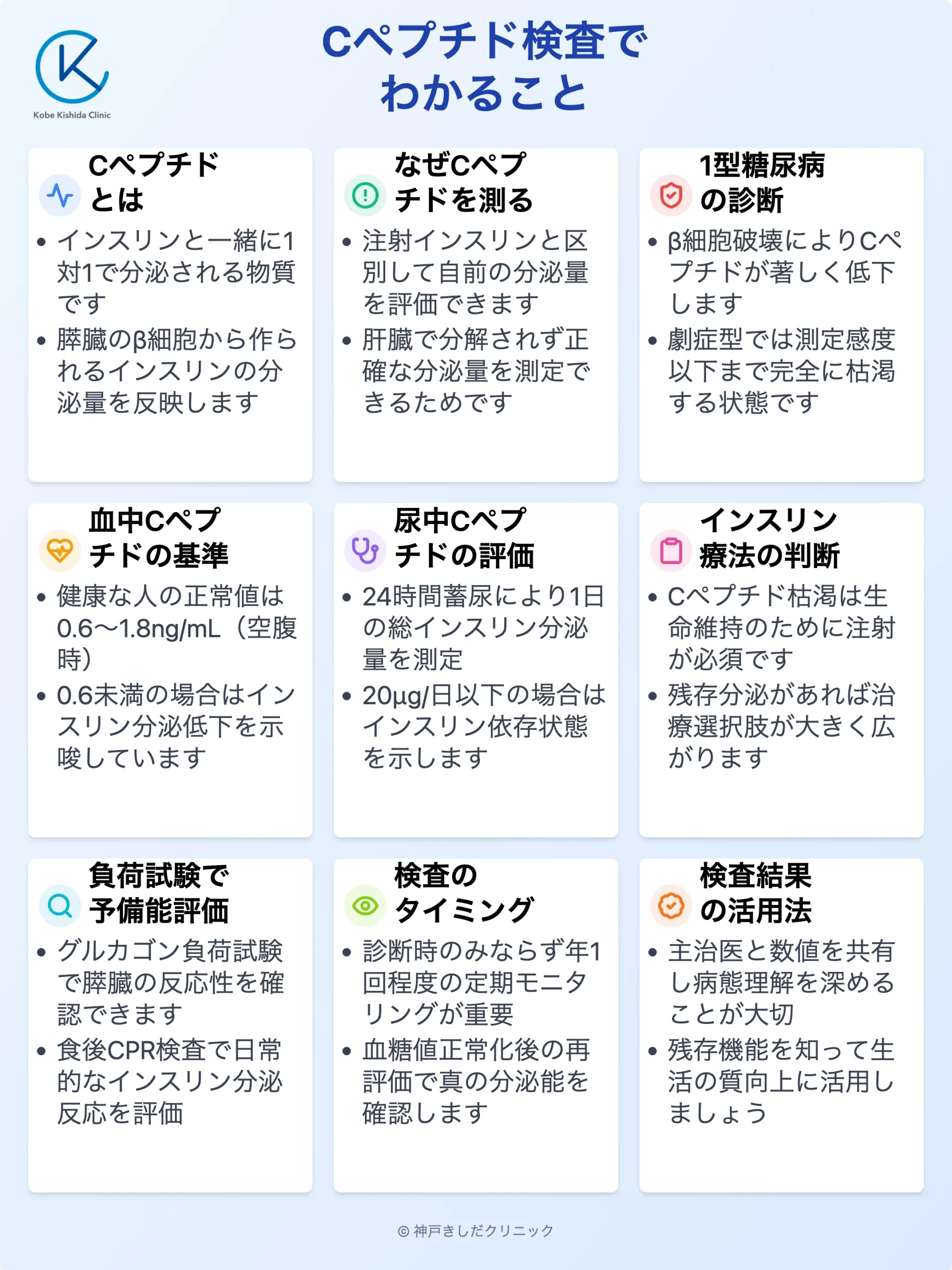 Cペプチド検査診断_12.webp