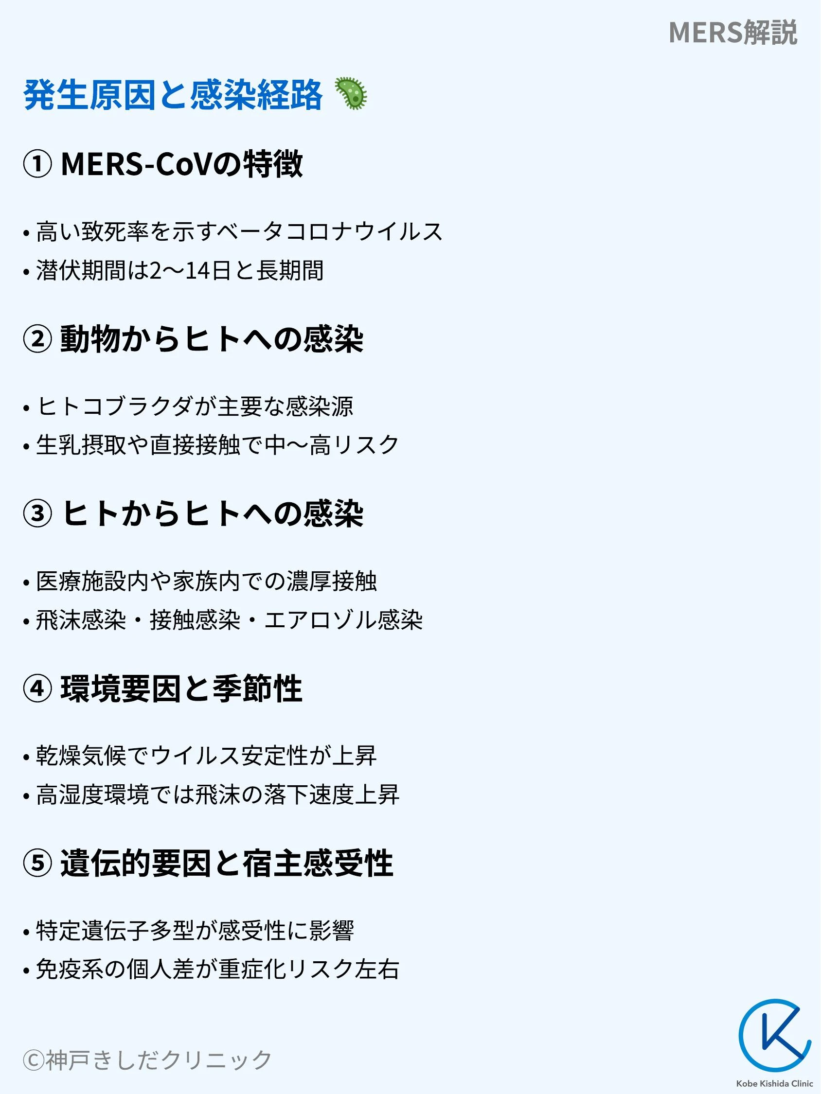 MERS解説_04.webp