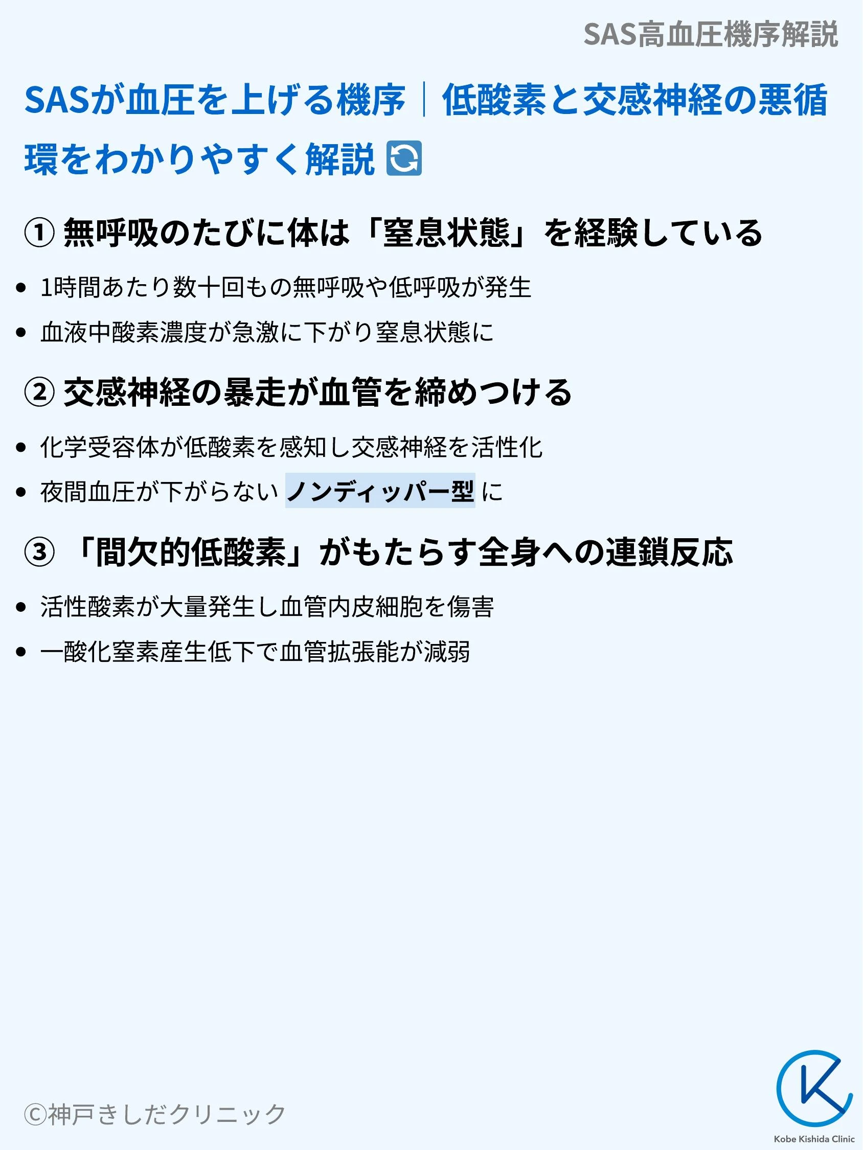 SAS高血圧機序解説_04.webp