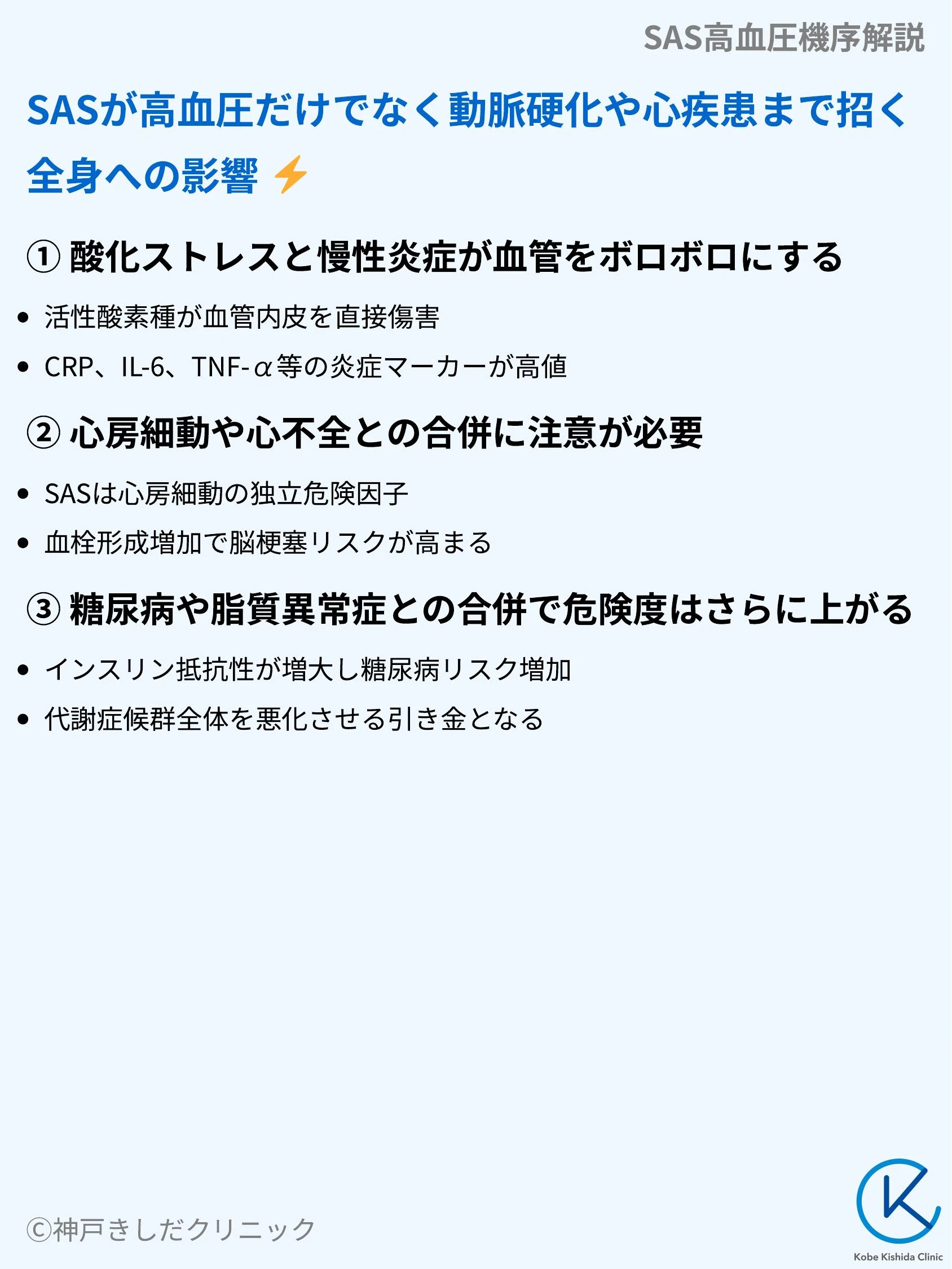 SAS高血圧機序解説_06.webp