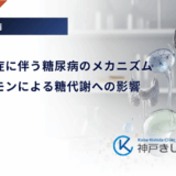 先端巨大症に伴う糖尿病のメカニズム｜成長ホルモンによる糖代謝への影響