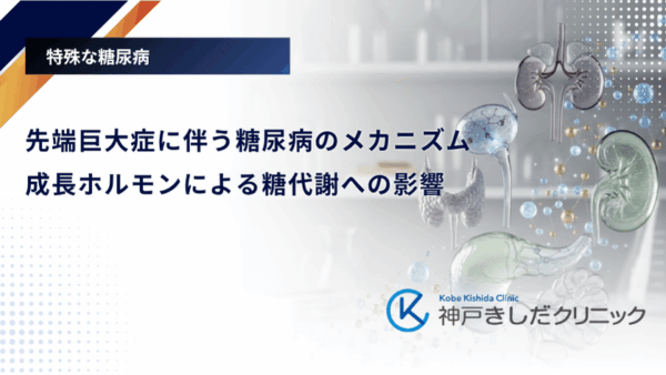 先端巨大症に伴う糖尿病のメカニズム|成長ホルモンによる糖代謝への影響