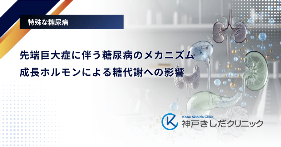 先端巨大症に伴う糖尿病のメカニズム｜成長ホルモンによる糖代謝への影響