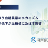 肝硬変に伴う血糖異常のメカニズム｜肝臓の機能低下が血糖値に及ぼす影響
