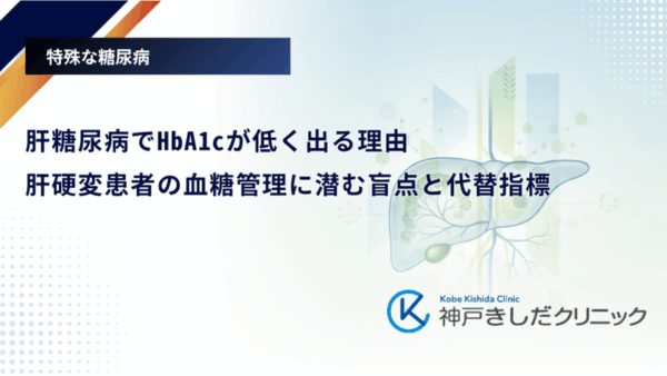肝糖尿病でHbA1cが低く出る理由|肝硬変患者の血糖管理に潜む盲点と代替指標
