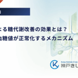 肝移植による糖代謝改善の効果とは？移植後に血糖値が正常化するメカニズム