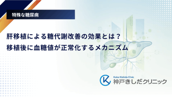 肝移植による糖代謝改善の効果とは?移植後に血糖値が正常化するメカニズム