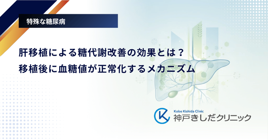 肝移植による糖代謝改善の効果とは？移植後に血糖値が正常化するメカニズム