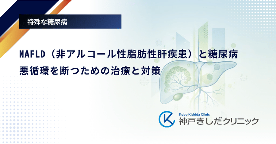 NAFLD（非アルコール性脂肪性肝疾患）と糖尿病｜悪循環を断つための治療と対策