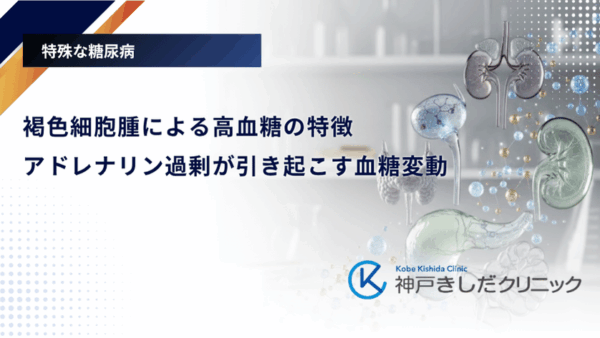 褐色細胞腫による高血糖の特徴|アドレナリン過剰が引き起こす血糖変動