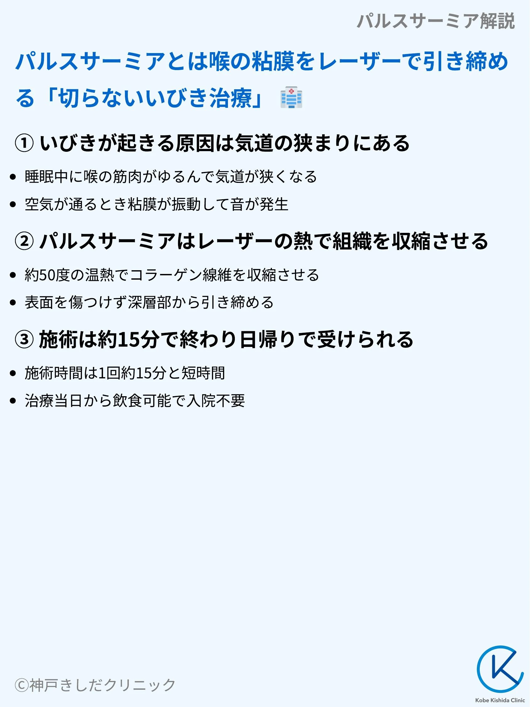 パルスサーミア解説_03.webp