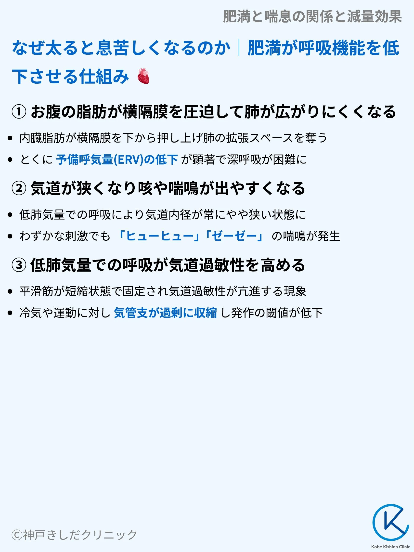 肥満と喘息の関係と減量効果_04.webp