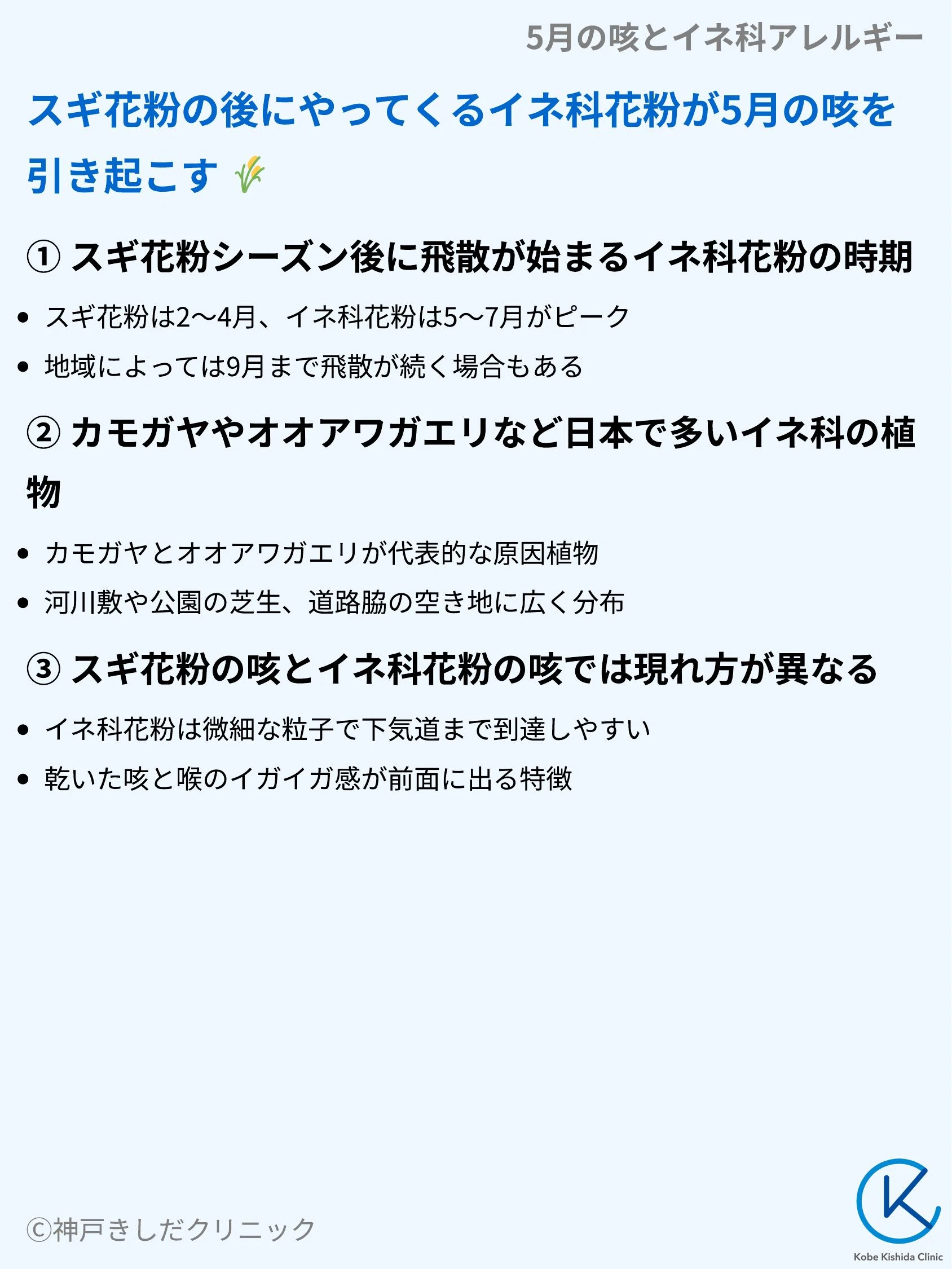 5月の咳とイネ科アレルギー_03.webp