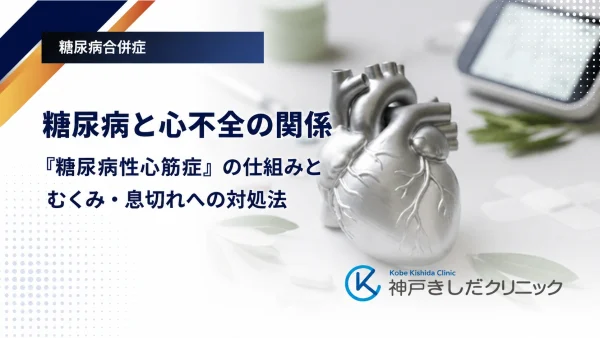 糖尿病と心不全の関係｜「糖尿病性心筋症」の仕組みとむくみ・息切れへの対処法