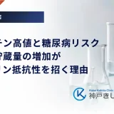 フェリチン高値と糖尿病リスク｜体内鉄貯蔵量の増加がインスリン抵抗性を招く理由