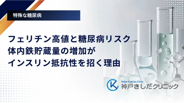 フェリチン高値と糖尿病リスク｜体内鉄貯蔵量の増加がインスリン抵抗性を招く理由