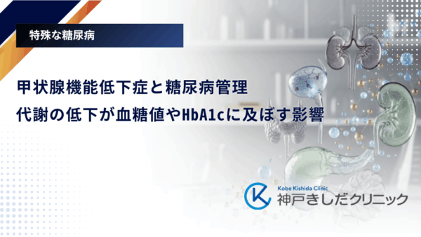 甲状腺機能低下症と糖尿病管理|代謝の低下が血糖値やHbA1cに及ぼす影響