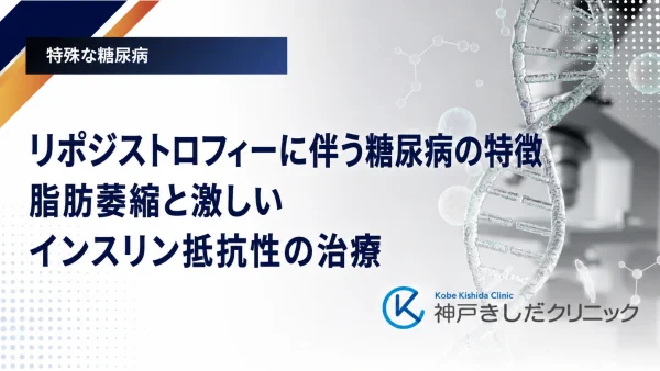 リポジストロフィーに伴う糖尿病の特徴｜脂肪萎縮と激しいインスリン抵抗性の治療