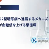 メタボから2型糖尿病へ進展するメカニズム｜内臓脂肪が血糖値を上げる悪循環