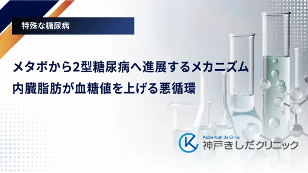 メタボから2型糖尿病へ進展するメカニズム｜内臓脂肪が血糖値を上げる悪循環