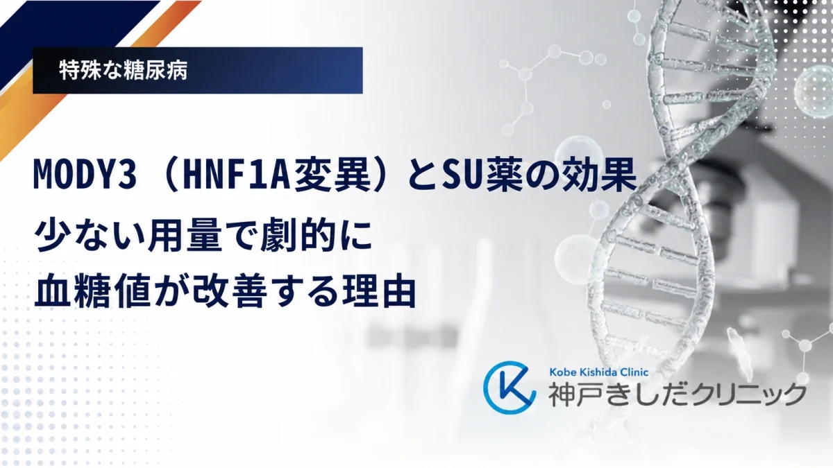 MODY3(HNF1A変異)とSU薬の効果|少ない用量で劇的に血糖値が改善する理由