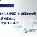 MODY3（HNF1A変異）とSU薬の効果｜少ない用量で劇的に血糖値が改善する理由