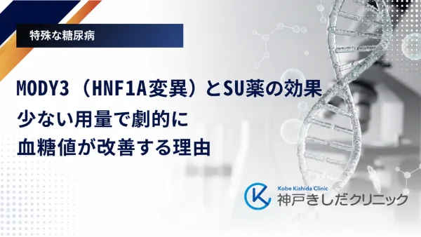 MODY3（HNF1A変異）とSU薬の効果｜少ない用量で劇的に血糖値が改善する理由