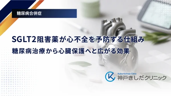 SGLT2阻害薬が心不全を予防する仕組み|糖尿病治療から心臓保護へと広がる効果